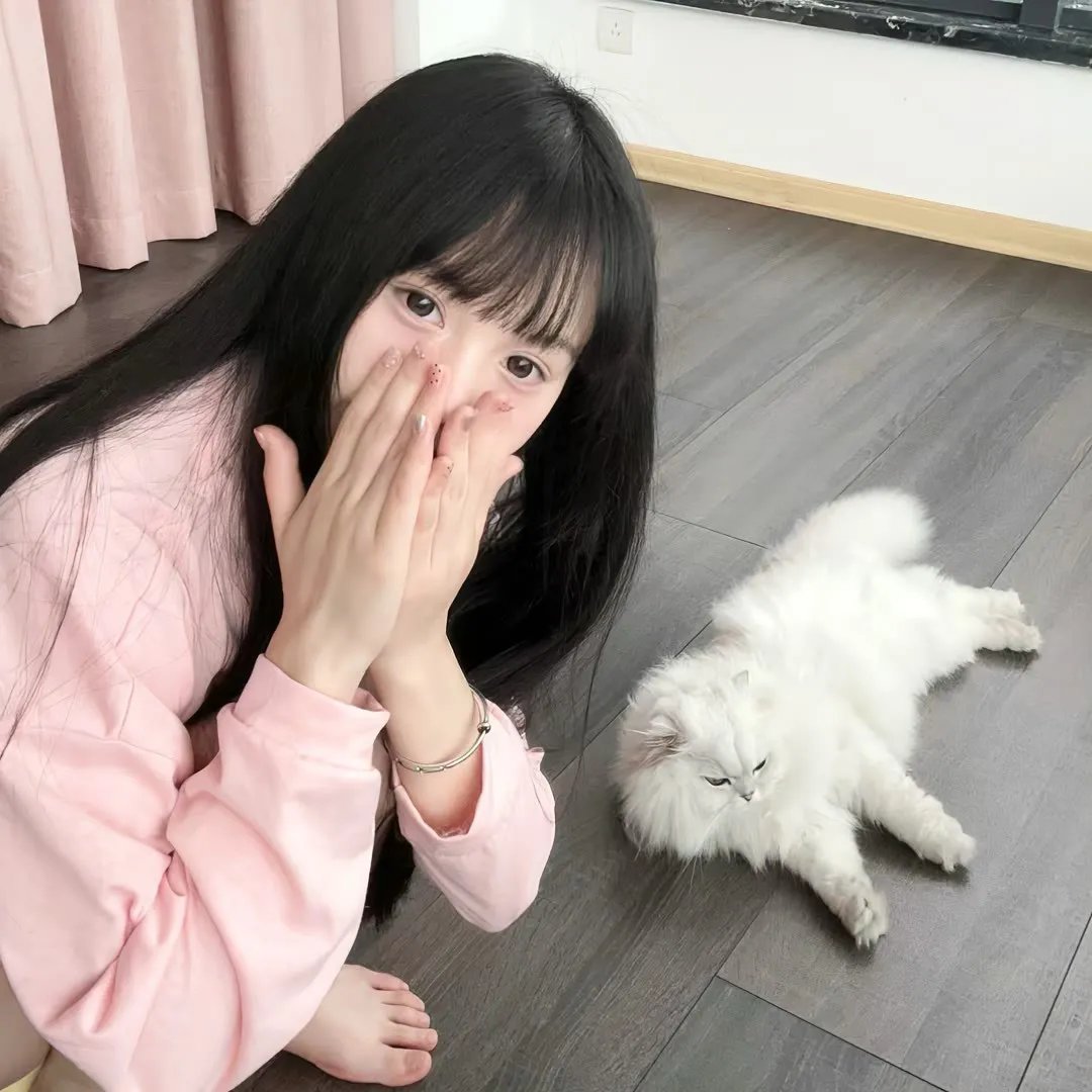 来自乌尔姆的裁缝师 海报